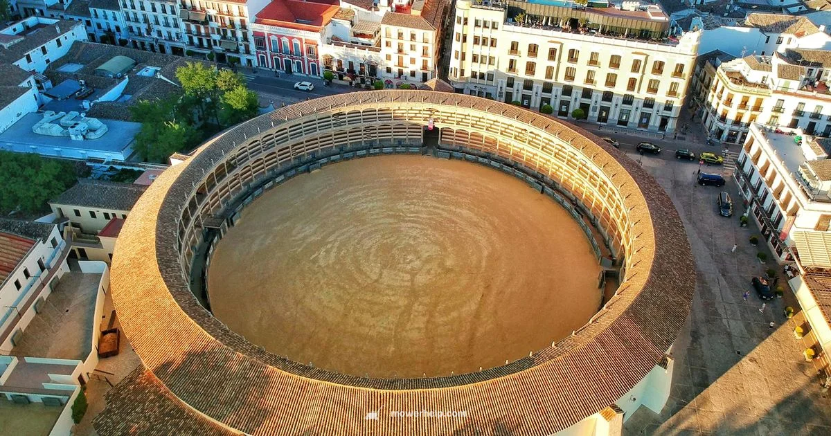 Toro 30 Inch Mower Guide - Mower Help