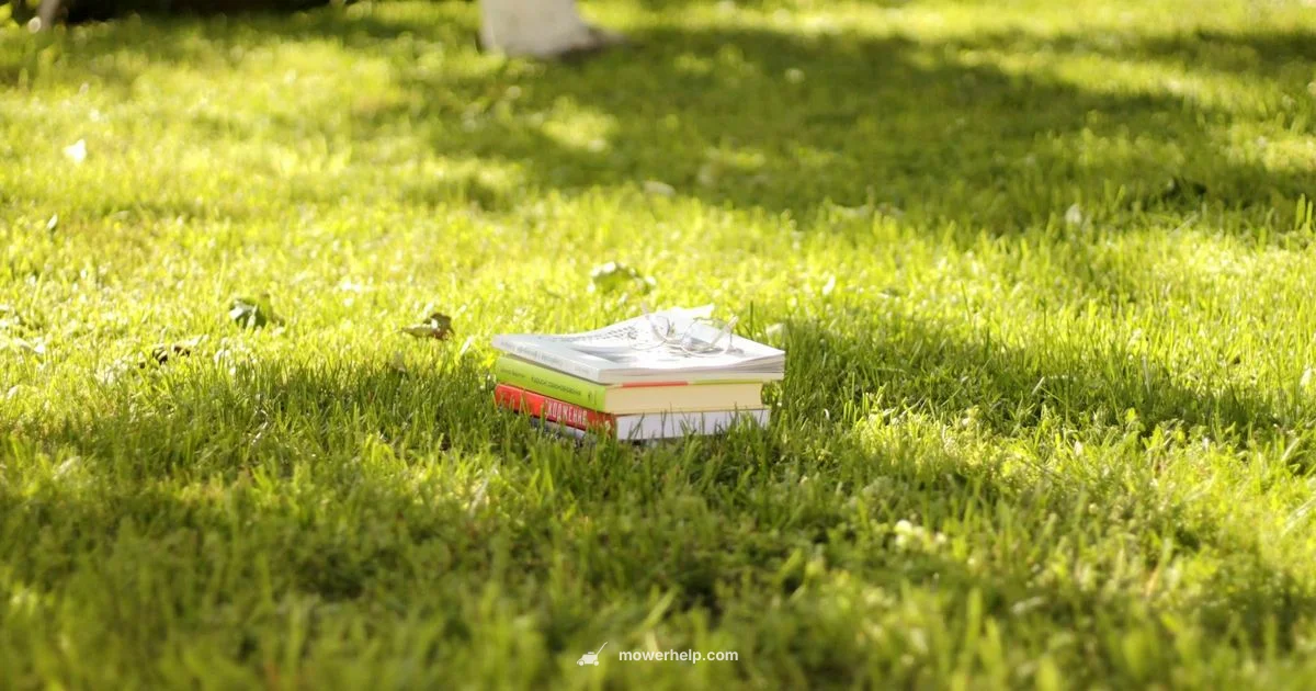 Toro Recycler 22 SmartStow - Mower Help