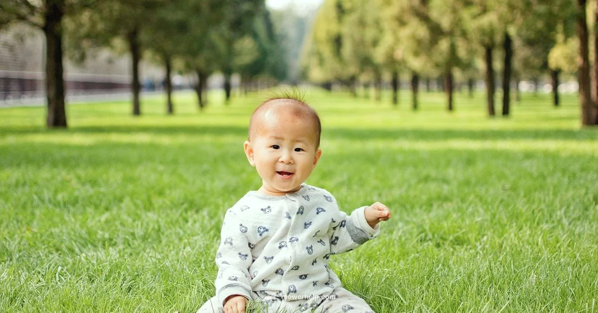 13 Inch Mower Guide - Mower Help