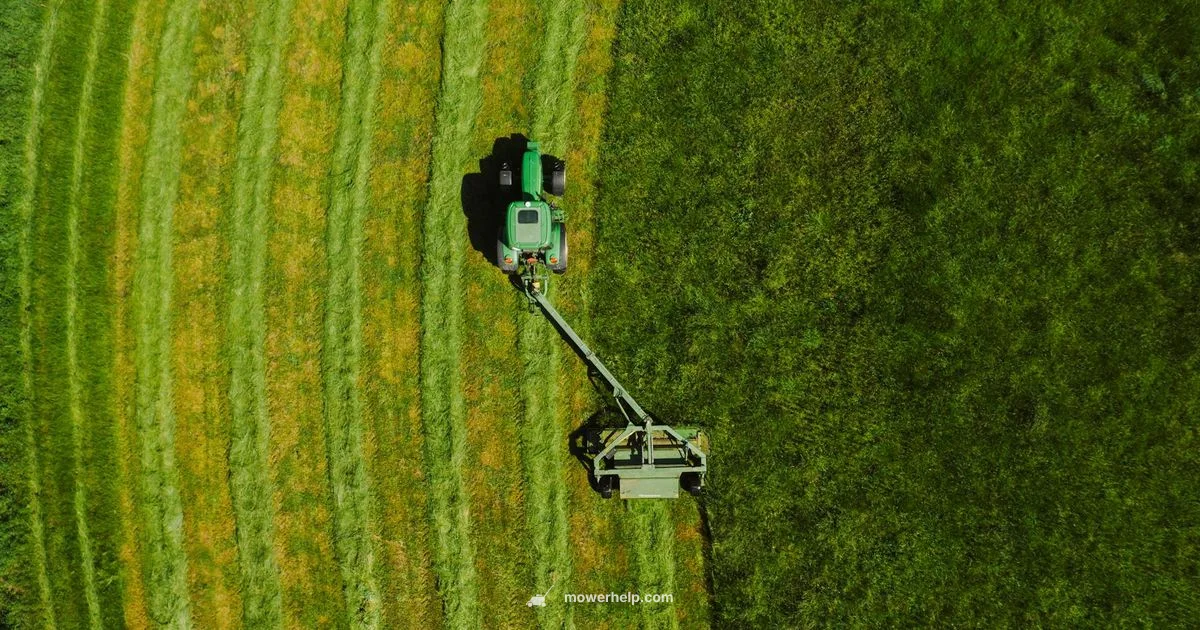 Lawn Mowing Costs - Mower Help