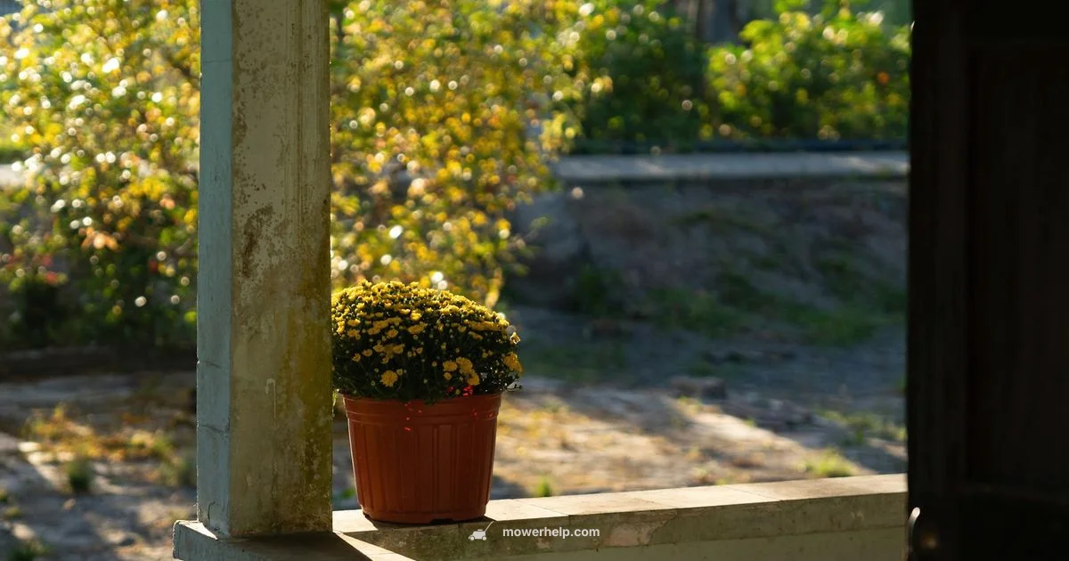 HRN 216 Overview - Mower Help