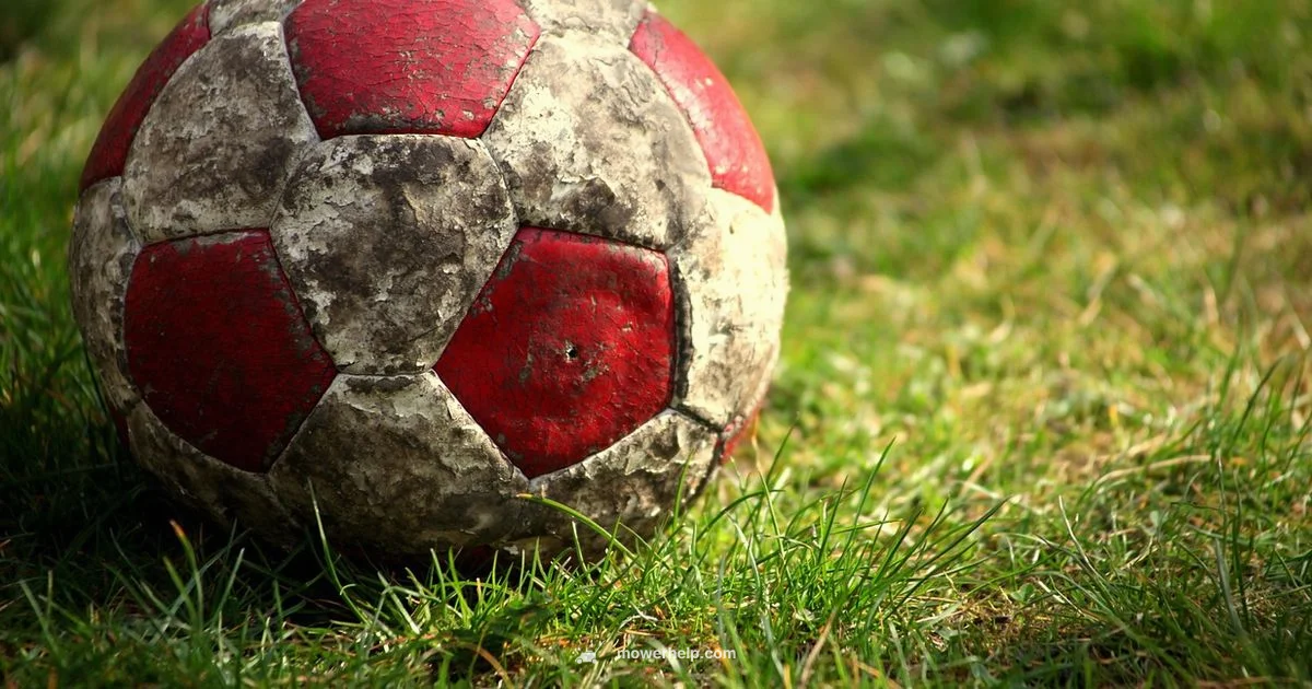 hrx217vka Review - Mower Help