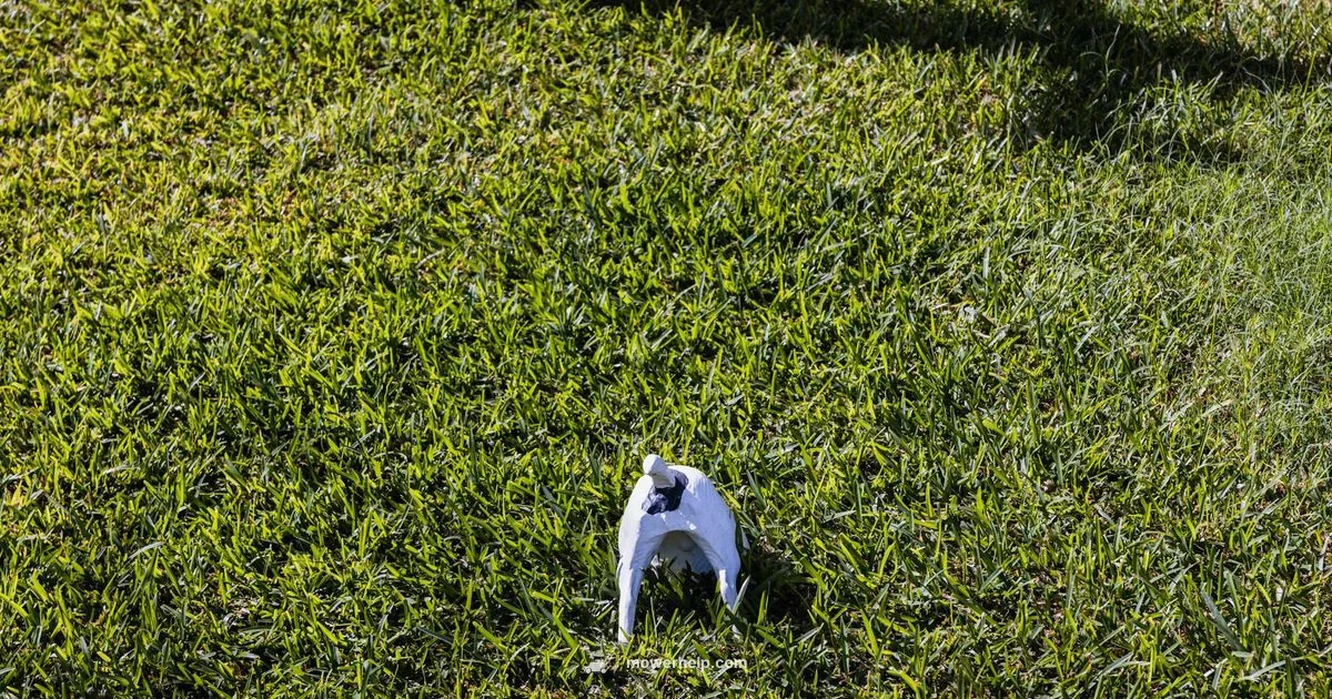 Best Battery Mowers Best Battery Mowers - Mower Help