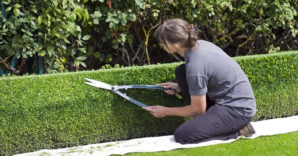 Mower vs Trimmer Mower vs Trimmer - Mower Help