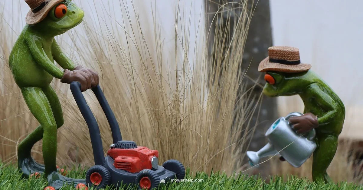 Lawn Mower Start Fix - Mower Help