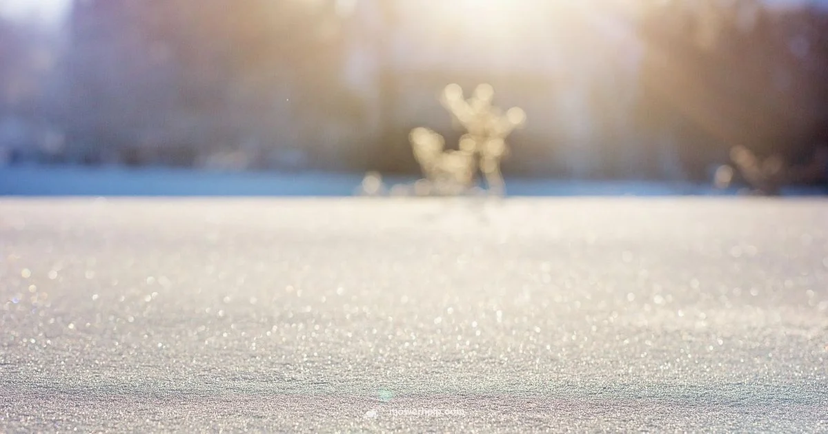 Winter Tool Showdown - Mower Help