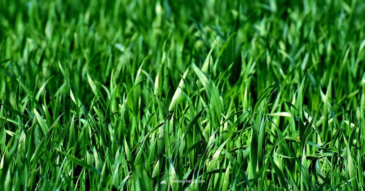 Blade Change Guide - Mower Help