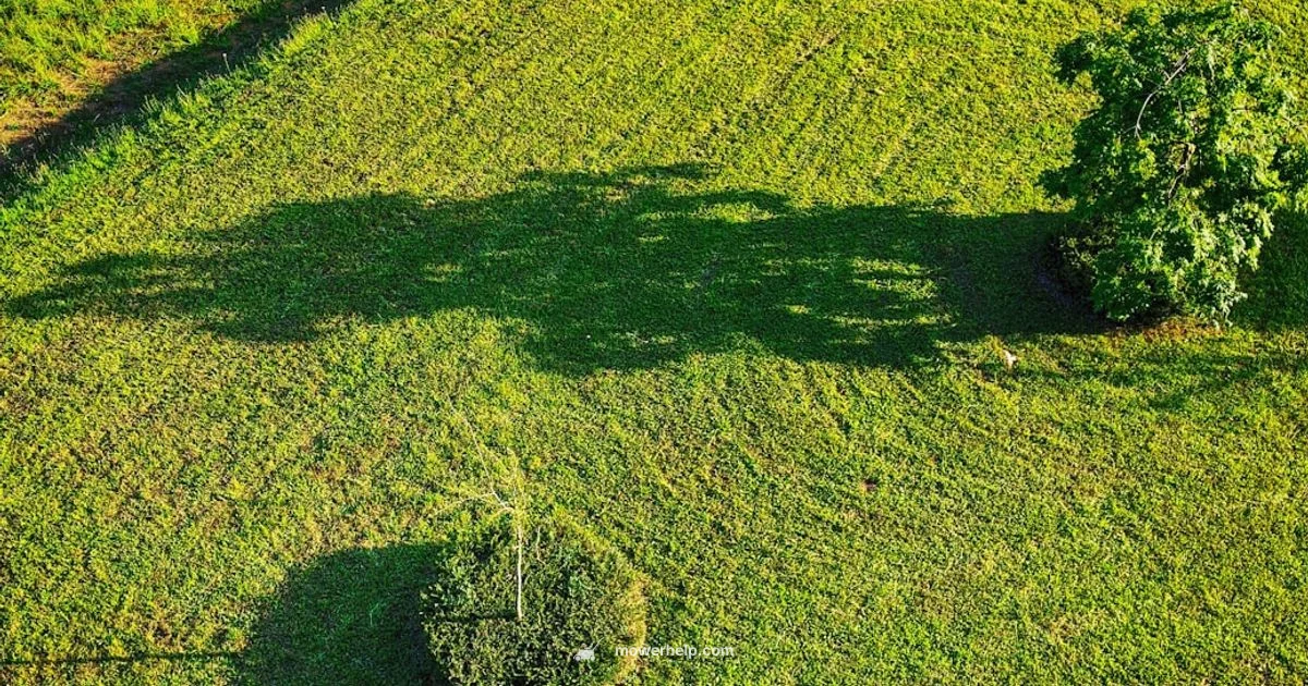 Starting with a Pull Cord Starting with a Pull Cord - Mower Help