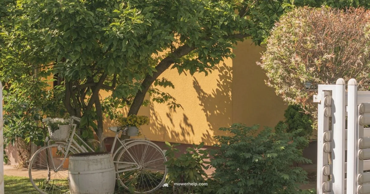 Autonomous Mower Guide Autonomous Mower Guide - Mower Help