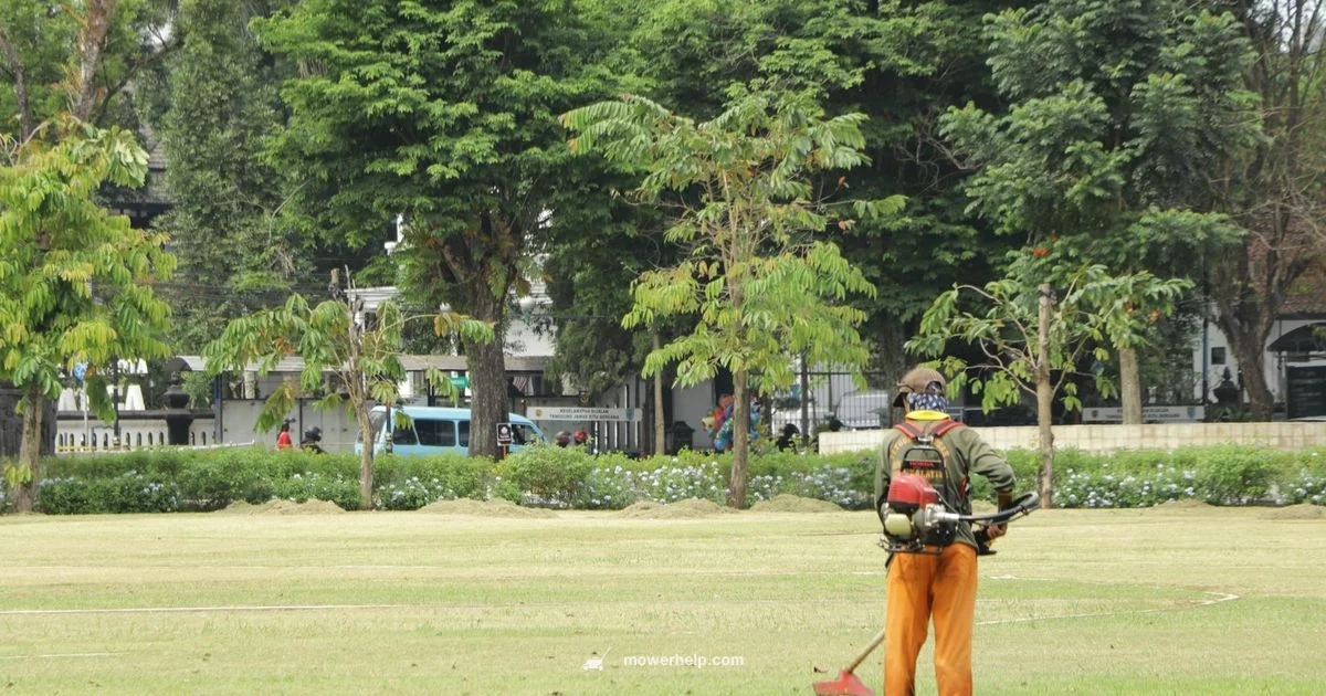 Lawn Mower Guide - Mower Help