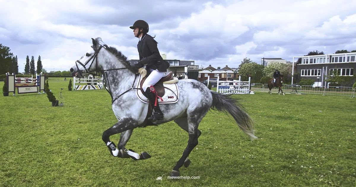 Riding Mower Buy Guide Riding Mower Buy Guide - Mower Help