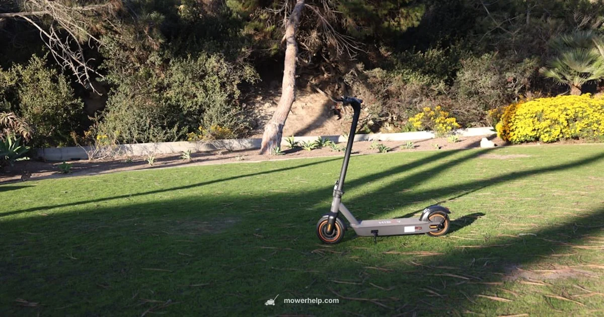 Gas Mower Near Me - Mower Help