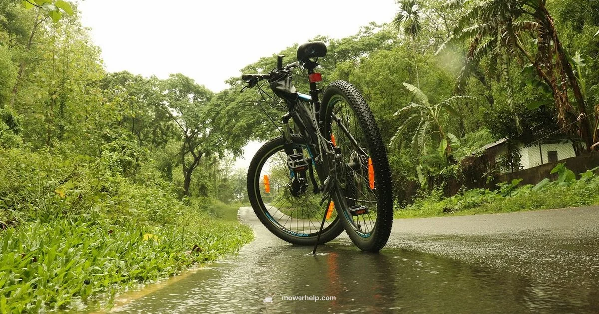Wet Lawn Mower Fixes Wet Lawn Mower Fixes - Mower Help