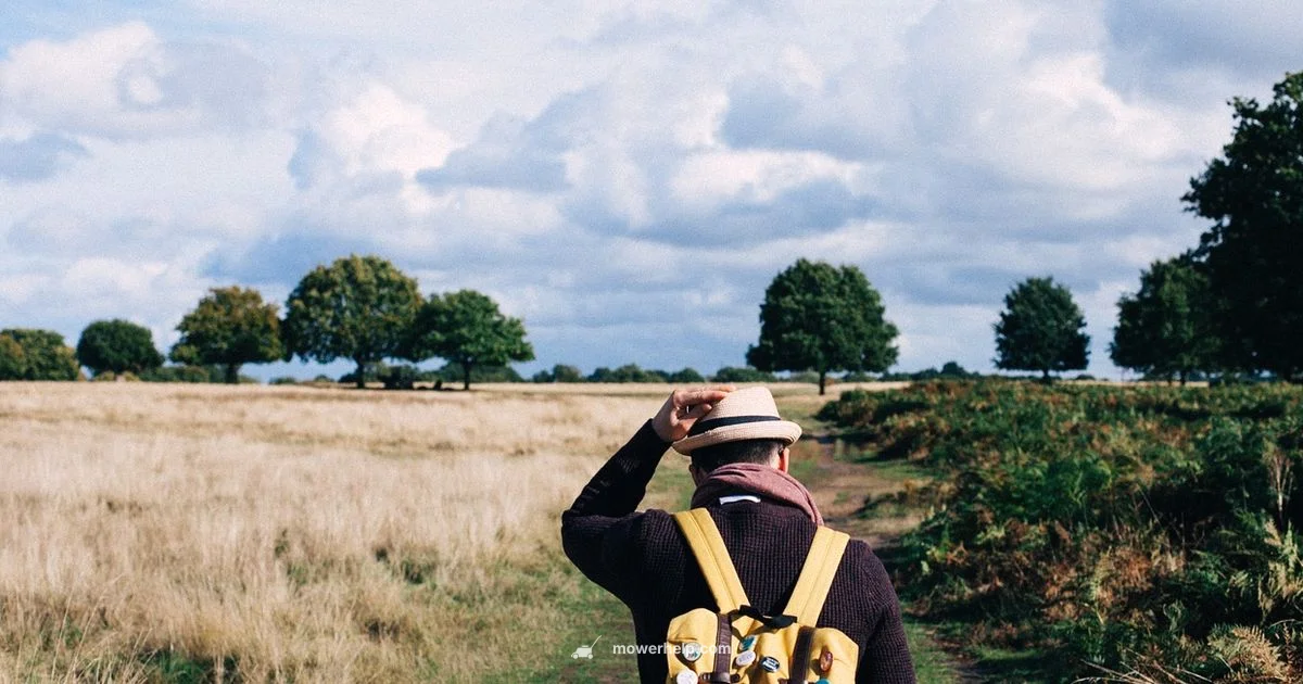 Snapper Walk Behind Mower Snapper Walk Behind Mower - Mower Help