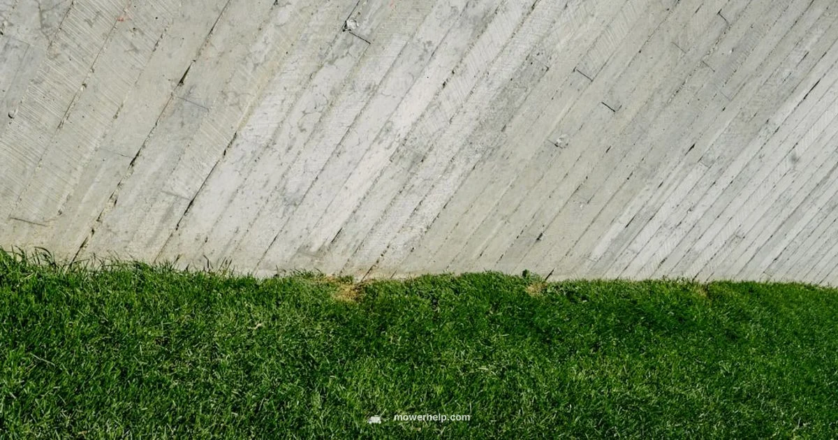 Rock Guard Fix - Mower Help