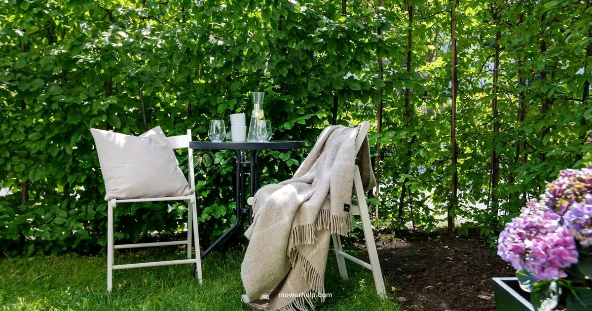 Budget Guide - Mower Help