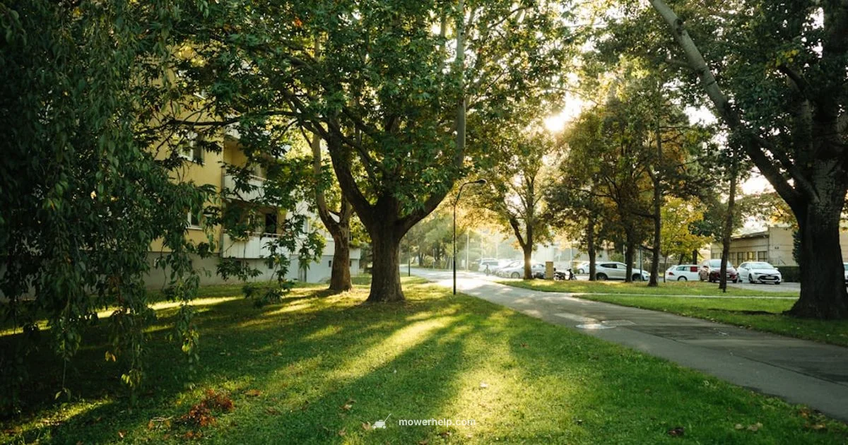 Oil Change Kit Essentials - Mower Help