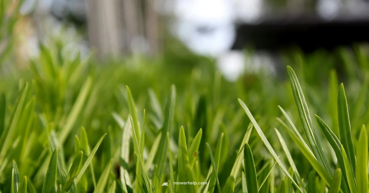 Zero-Turn Prices - Mower Help