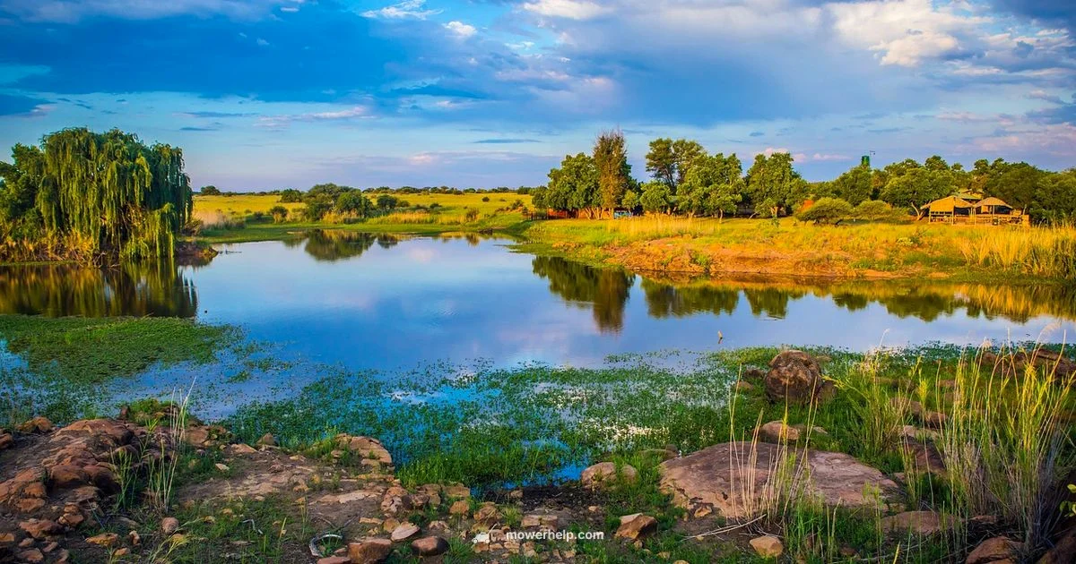 Lawn Mower Guide SA Lawn Mower Guide SA - Mower Help