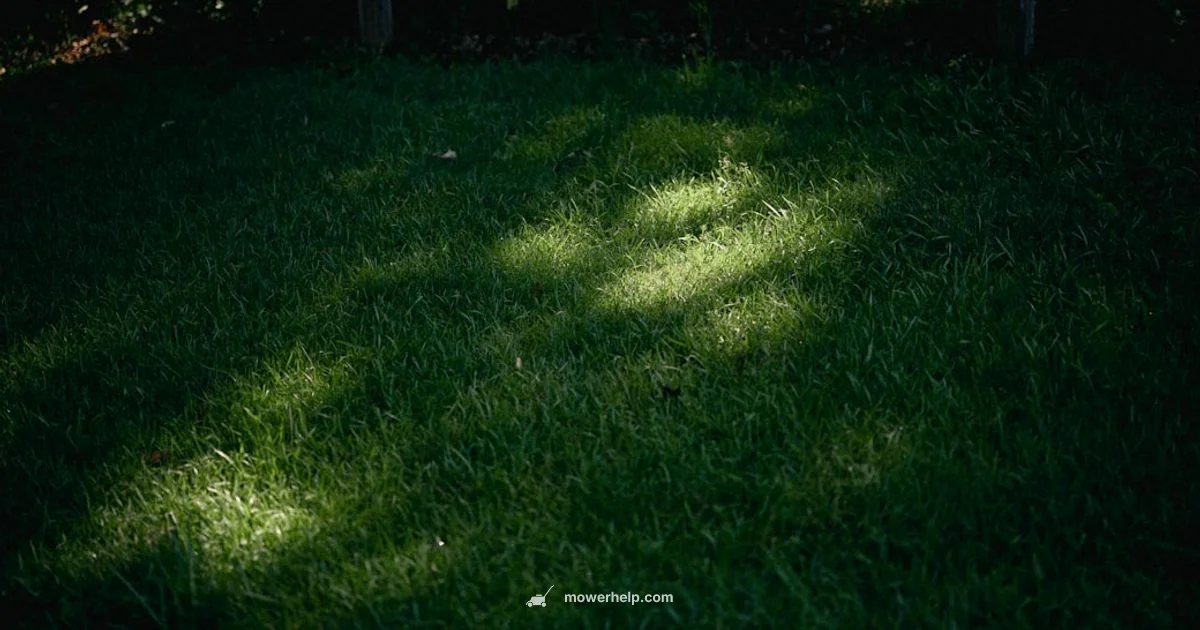 Top Zero Turn Mowers Top Zero Turn Mowers - Mower Help