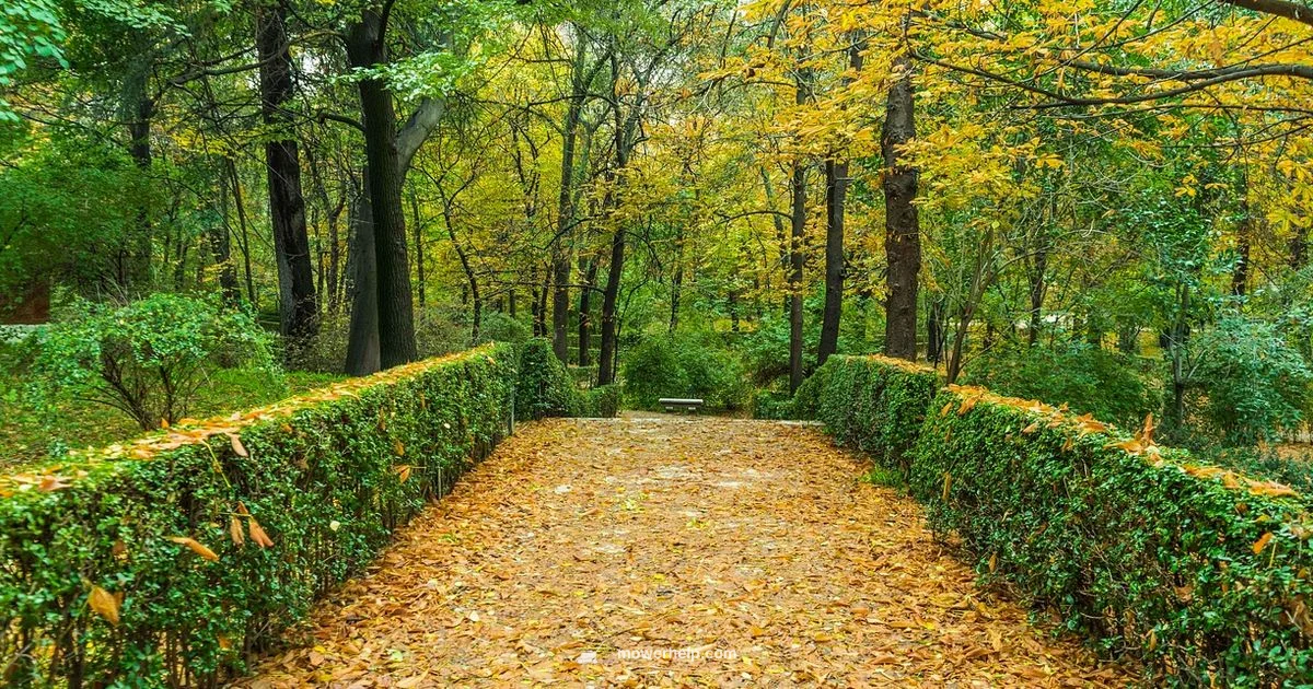 Winter Ready Lawn - Mower Help