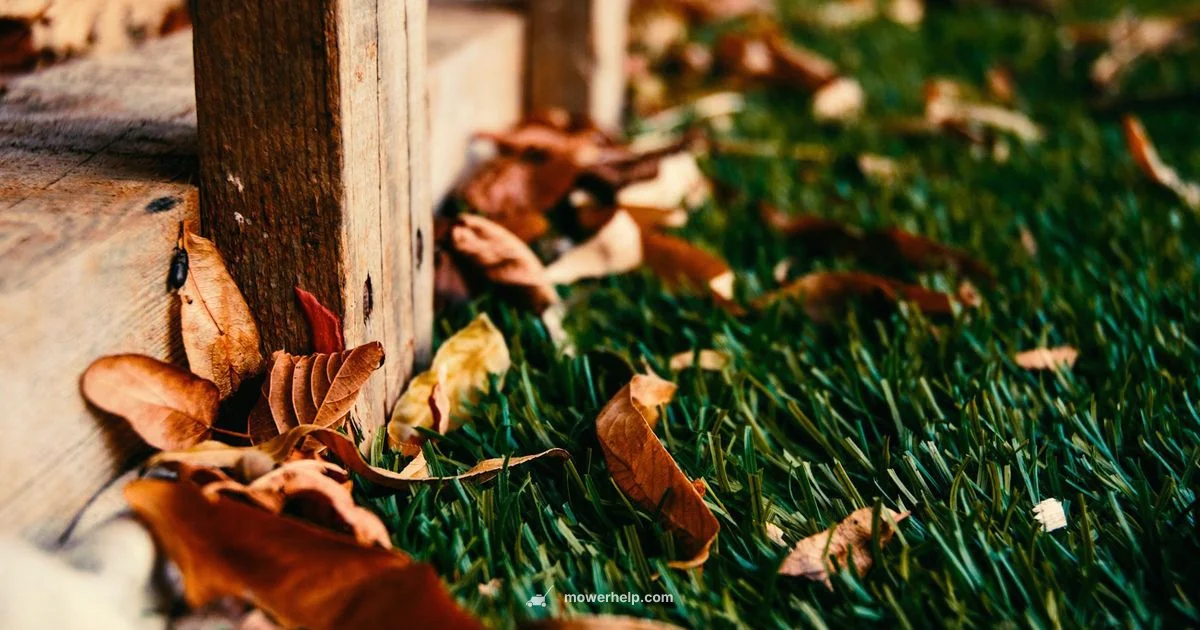 Deck Care Guide Deck Care Guide - Mower Help