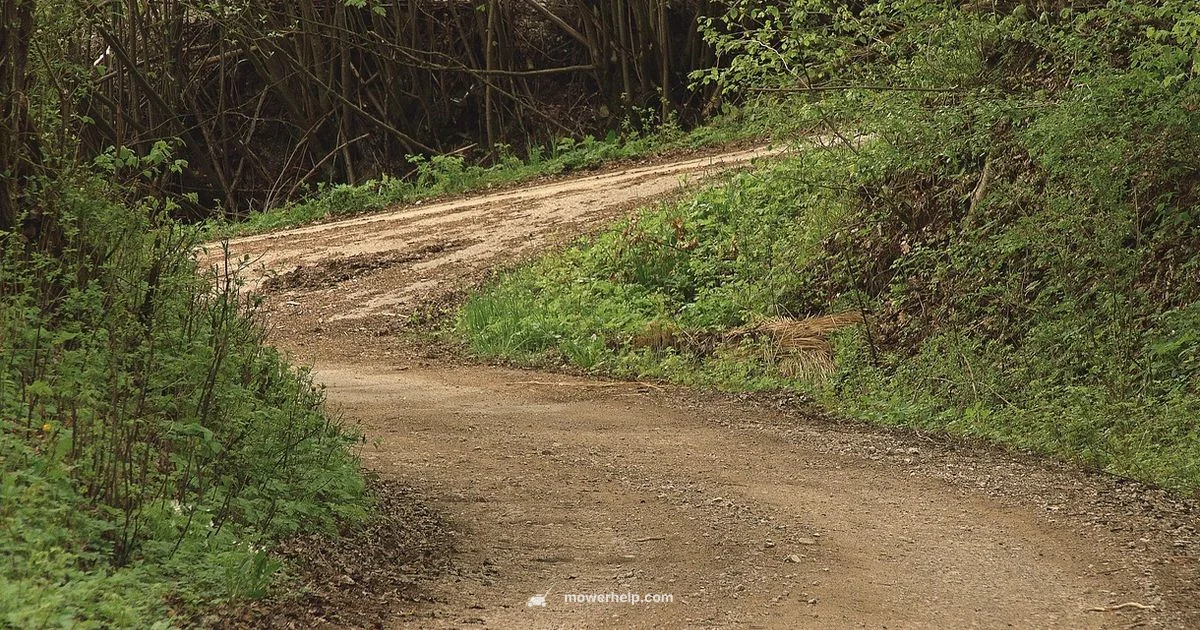 Mower Fueling Tips - Mower Help