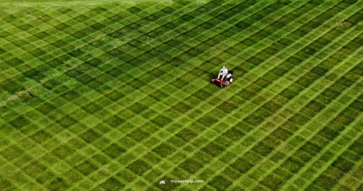 LM2100SP Overview - Mower Help