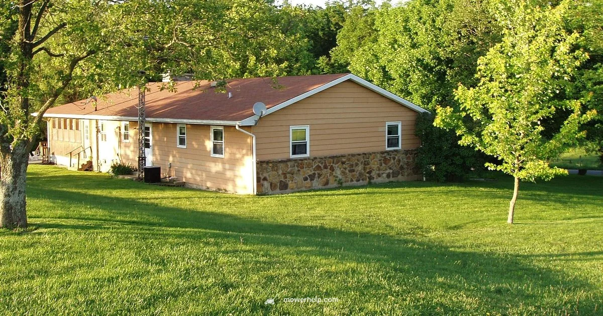 Lawn Mower Uses - Mower Help