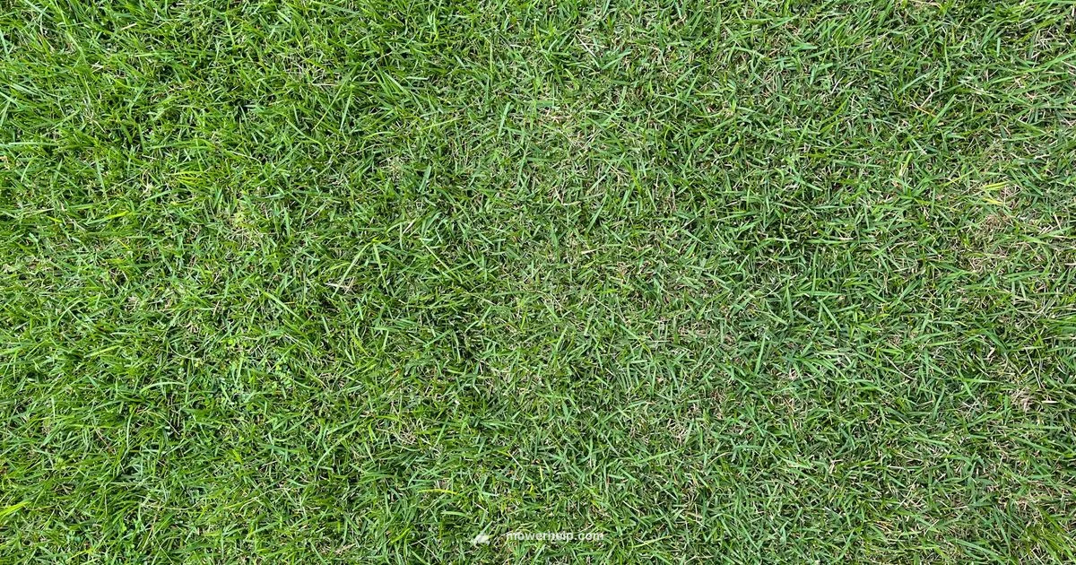 Zero-Turn Mastery Guide Zero-Turn Mastery Guide - Mower Help