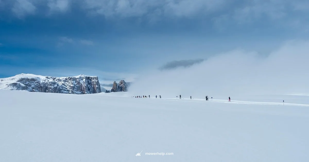 Snow Blade Mower - Mower Help