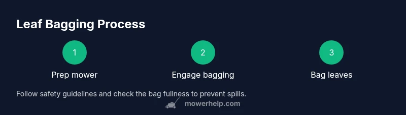 Process infographic showing leaf bagging steps