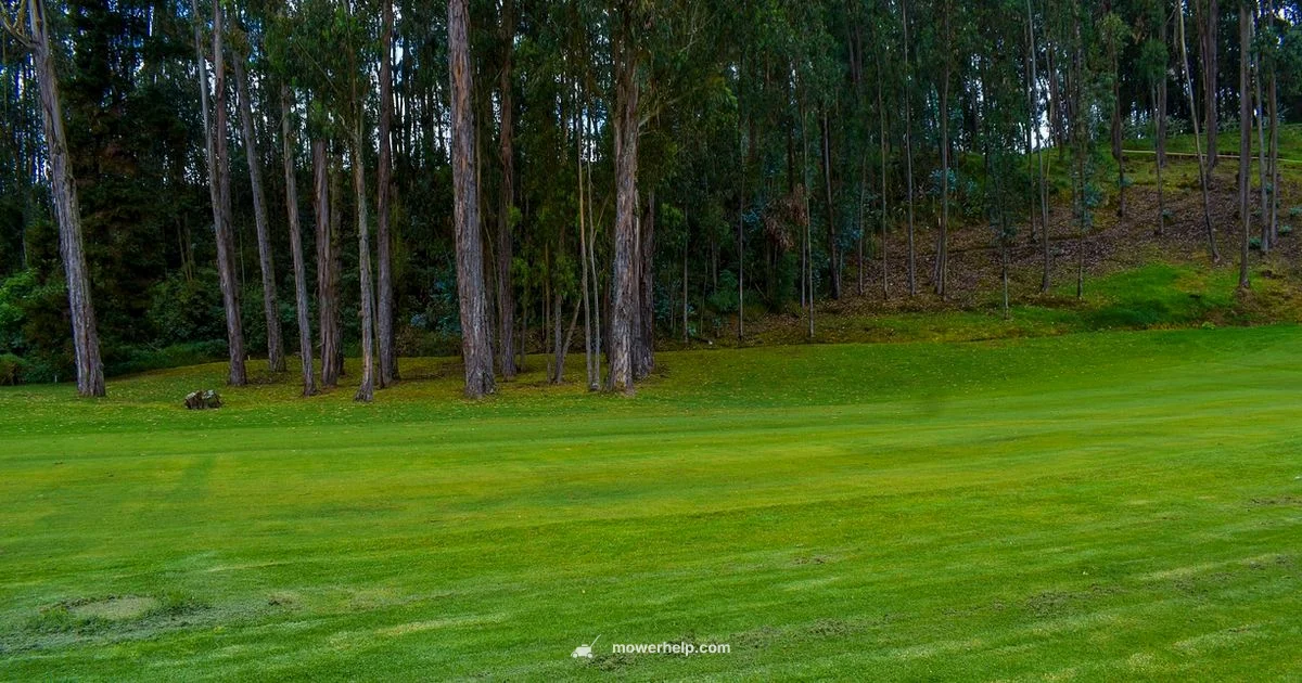 Hyper Tough Review Hyper Tough Review - Mower Help