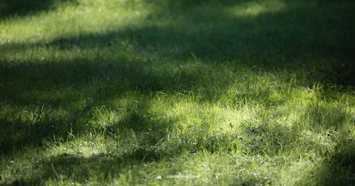 Stall Fixes - Mower Help