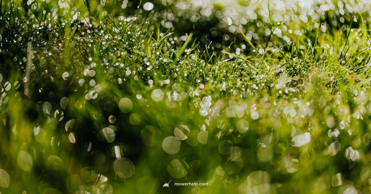 Wet Grass Guide - Mower Help