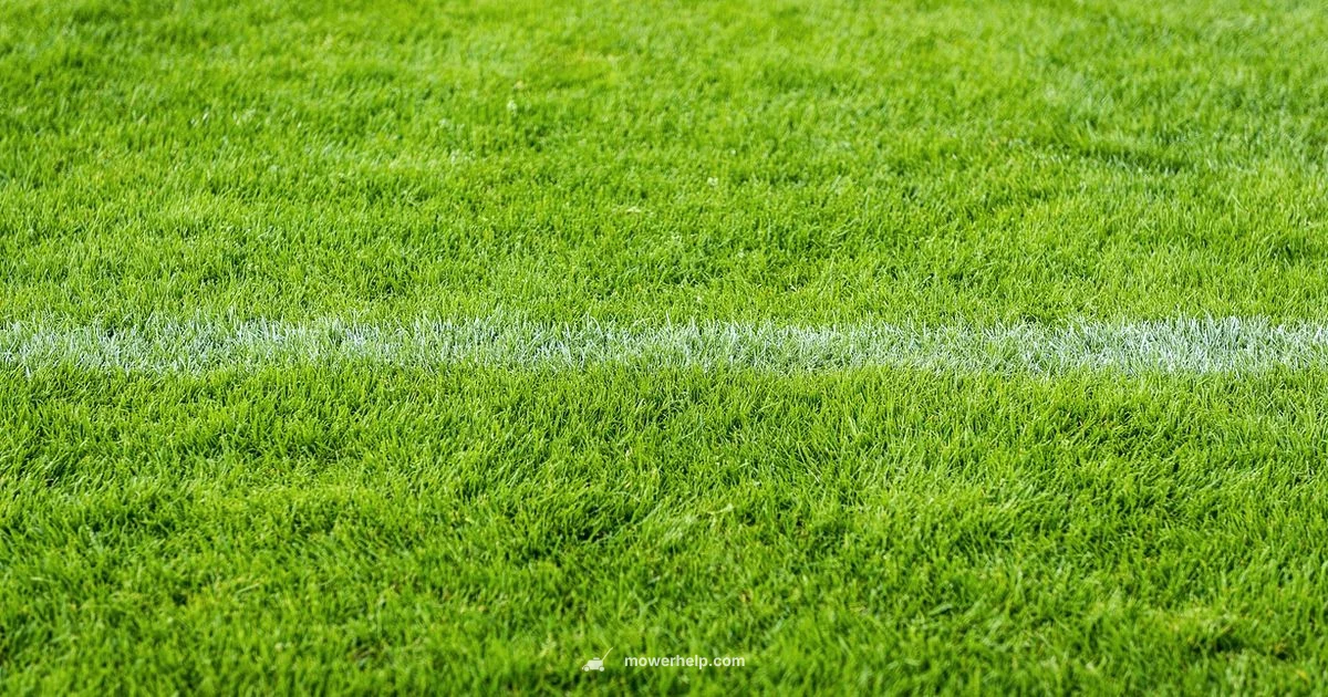 Toro Proline Overview - Mower Help