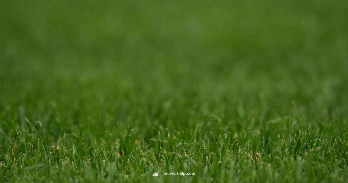 HRX217 Overview HRX217 Overview - Mower Help