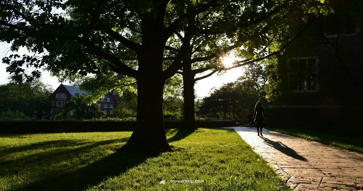 Husqvarna Walk-Behind Mower - Mower Help