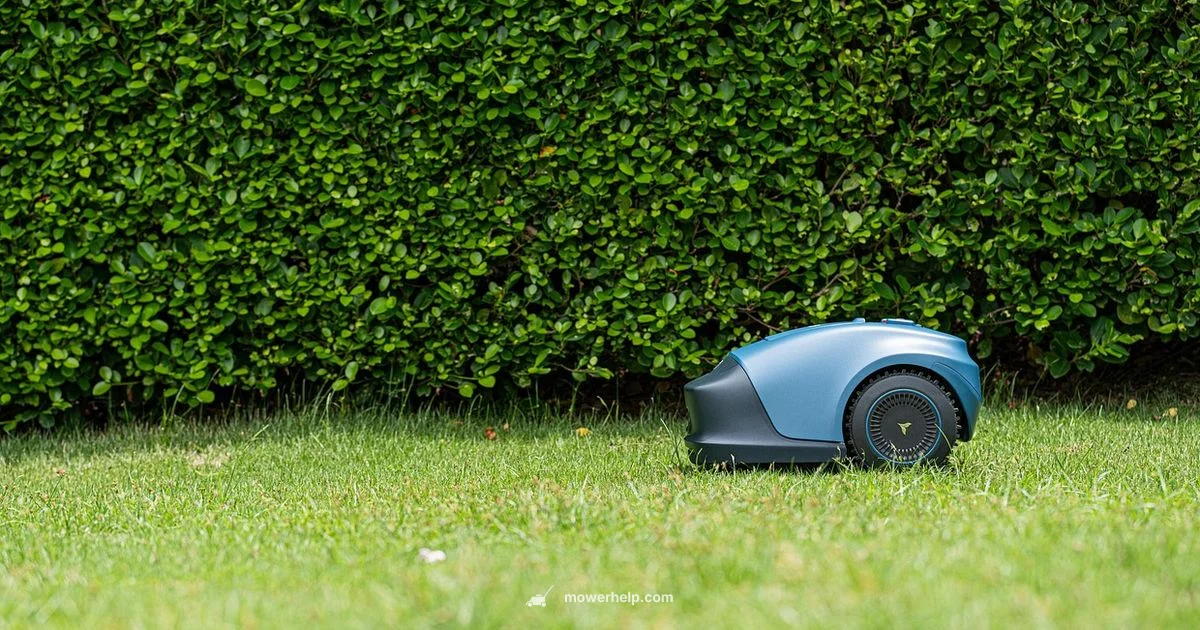 Smart Lawn Mower Smart Lawn Mower - Mower Help