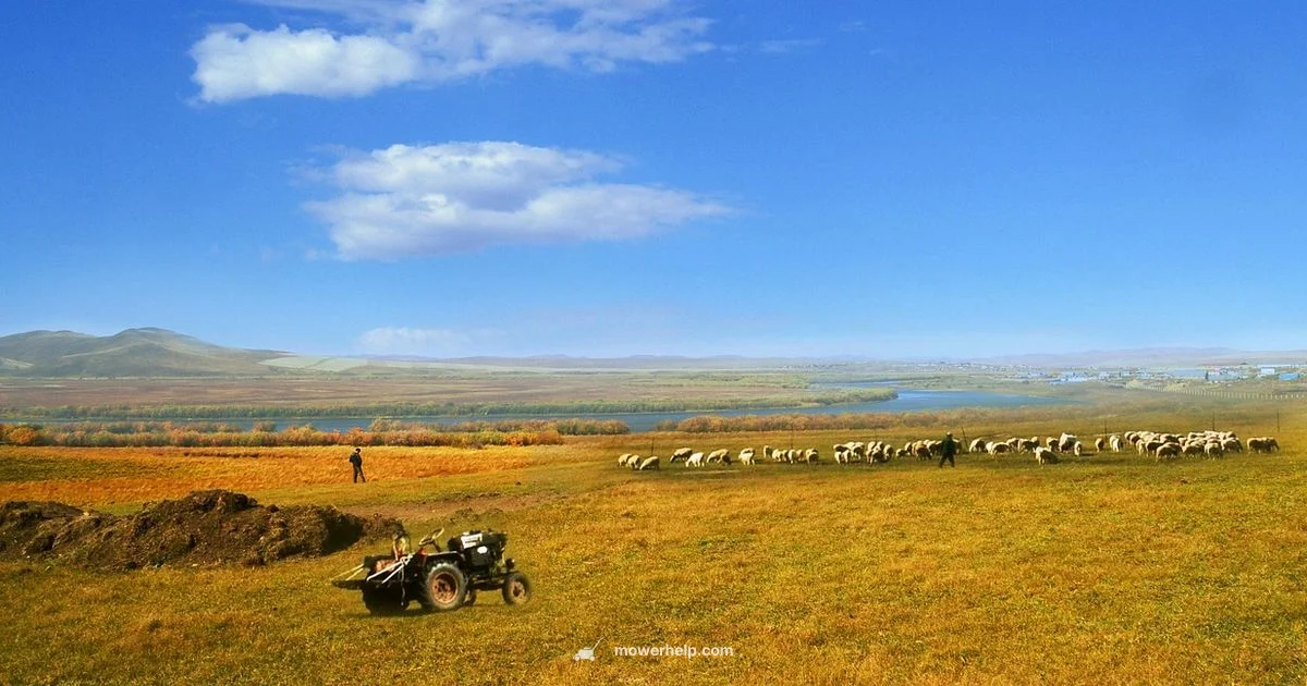 Top Lawn Mower Deals - Mower Help