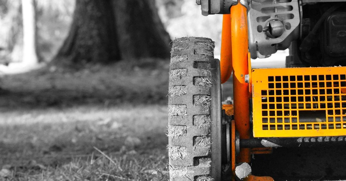 Lawn Mower Tune-Up Lawn Mower Tune-Up - Mower Help