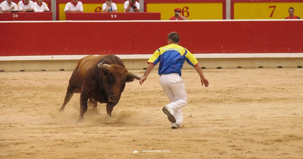 Find Your Toro Dealer - Mower Help