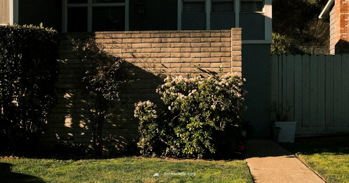 Push Mower Basics - Mower Help