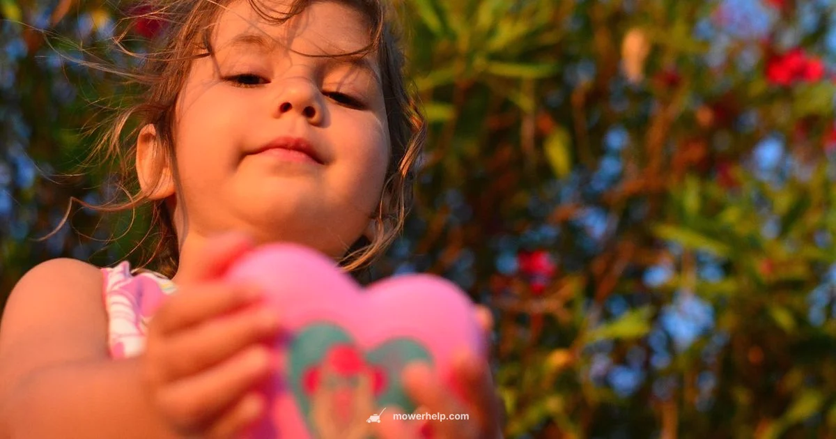 Lawn Mower Toy Guide - Mower Help