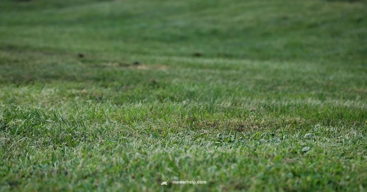 Lawn Mowing Workout - Mower Help