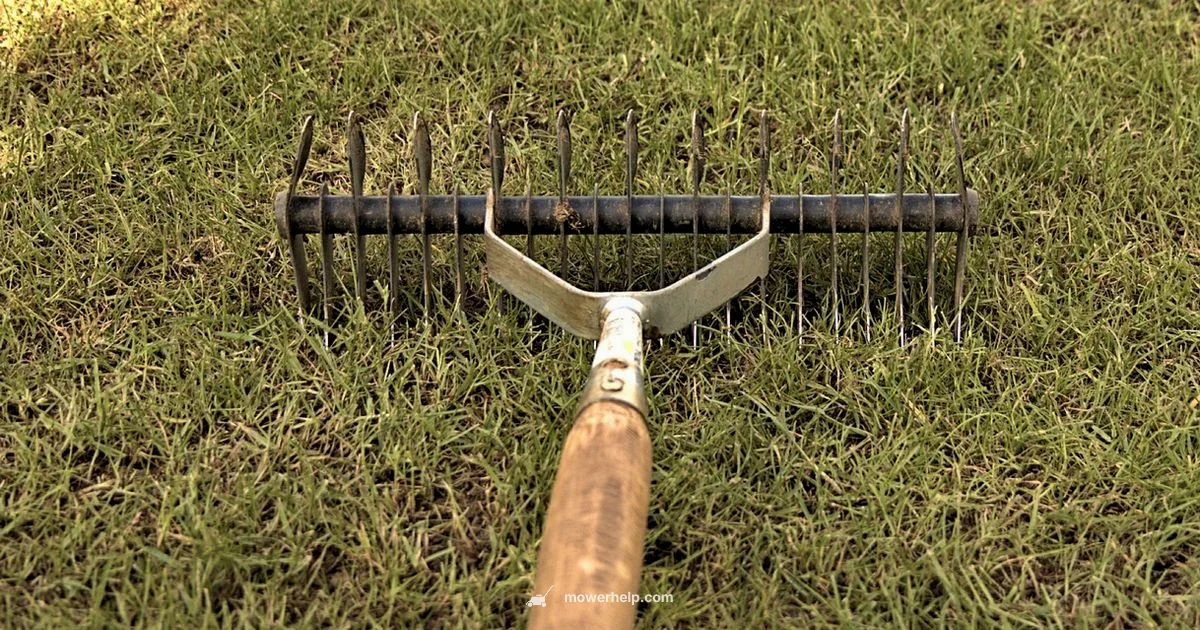 Lawn Care Essentials - Mower Help