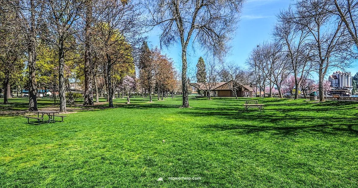 Outdoor Mower Storage - Mower Help