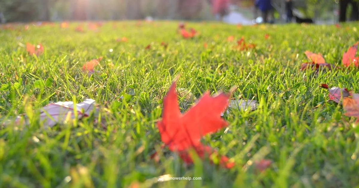 Stripe Mastery for Push Mowers - Mower Help