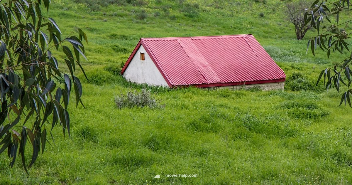 Riding Mower Deals - Mower Help