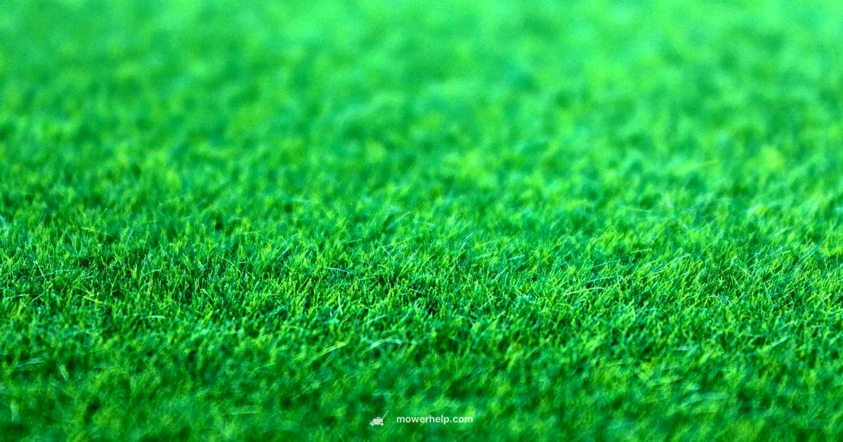 Dewalt 60V Review - Mower Help